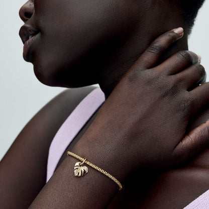 Sophisticated Monstera Charm