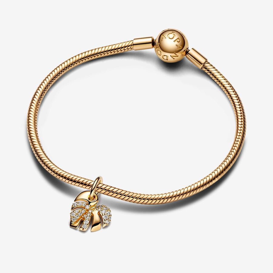 Sophisticated Monstera Charm
