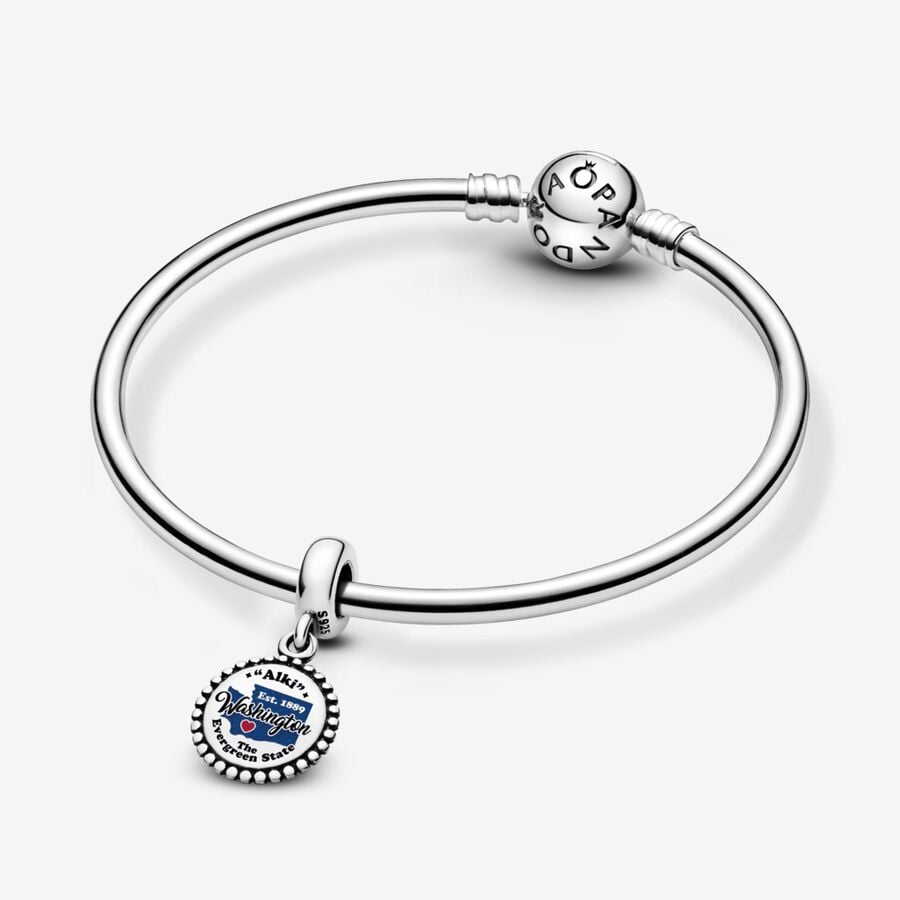 Washington State Charm