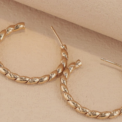 Elegant Geometric Circle Earrings